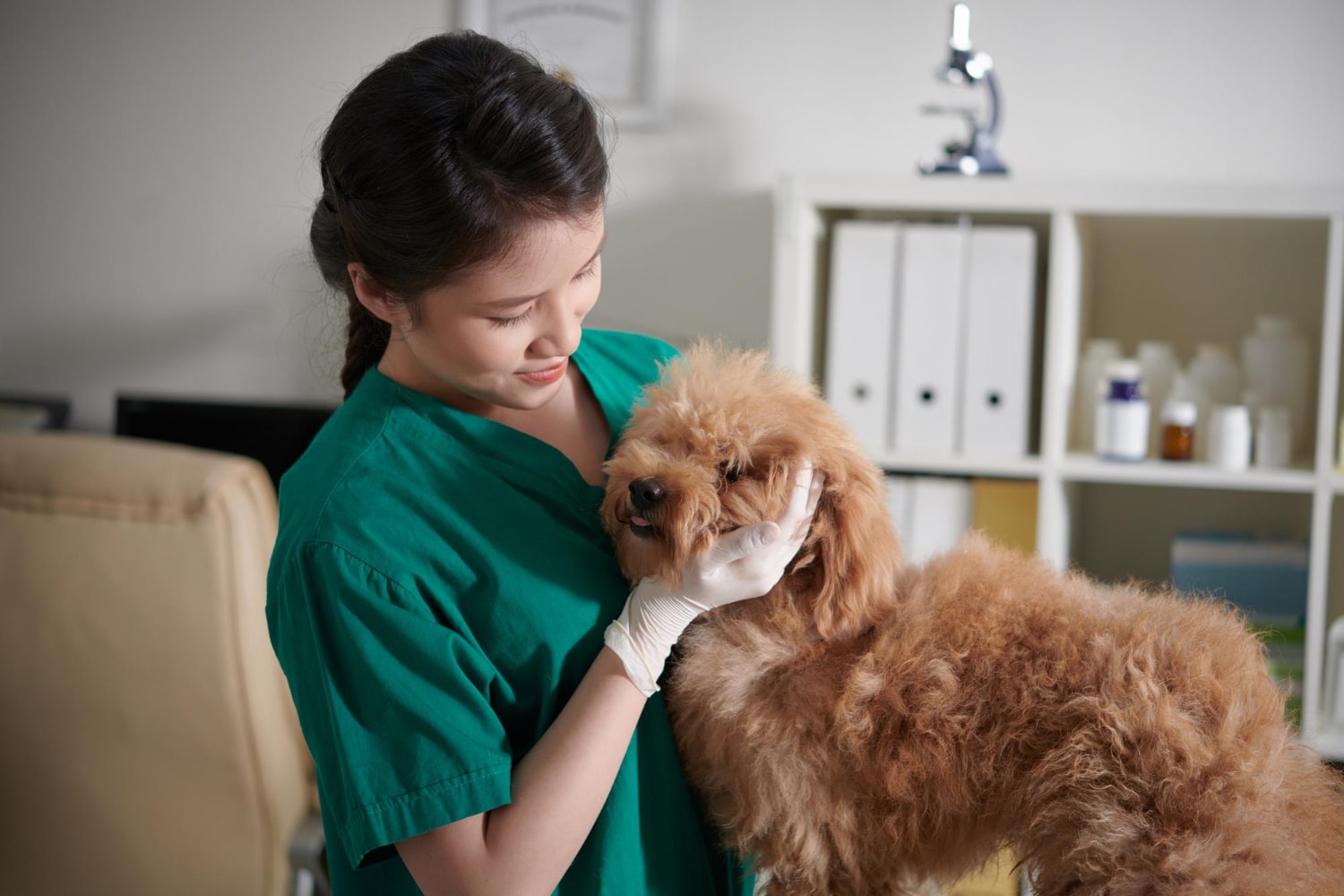 médica veterinária abraçando um cachorro peludo em consultório